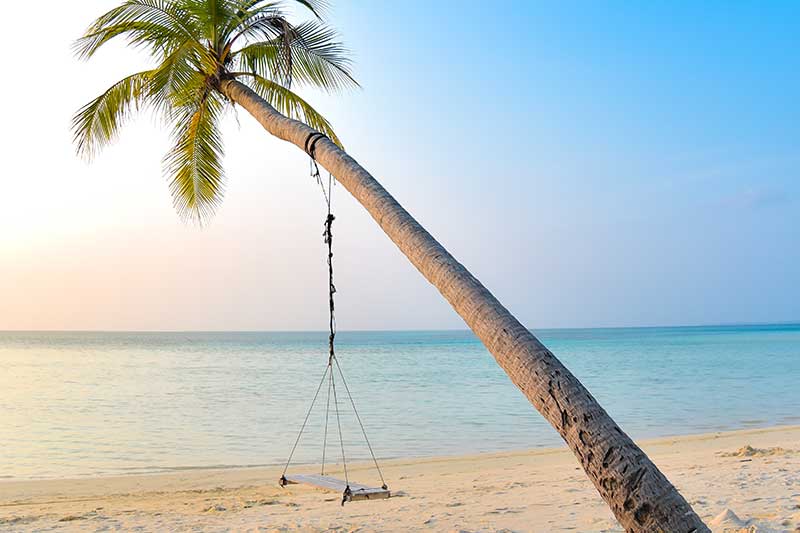 small-medium-large-business-marketing-palm